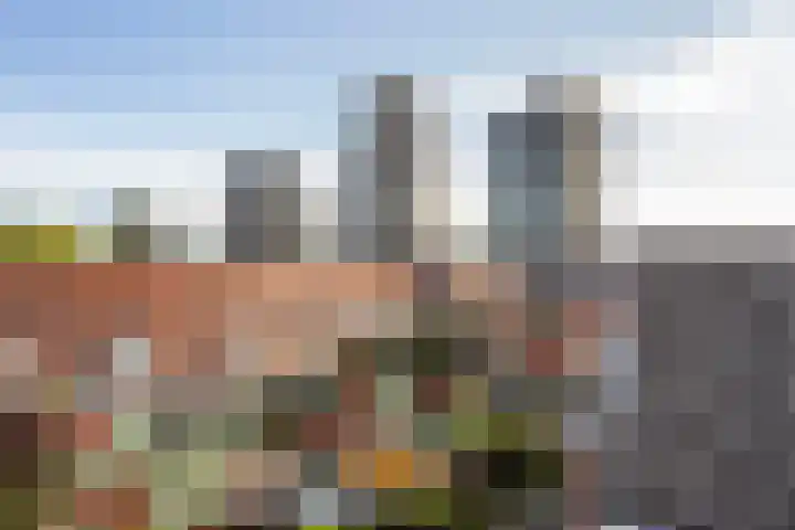 Dr. Jan Schoutenlaan 260 Maassluis thumbnail 50
