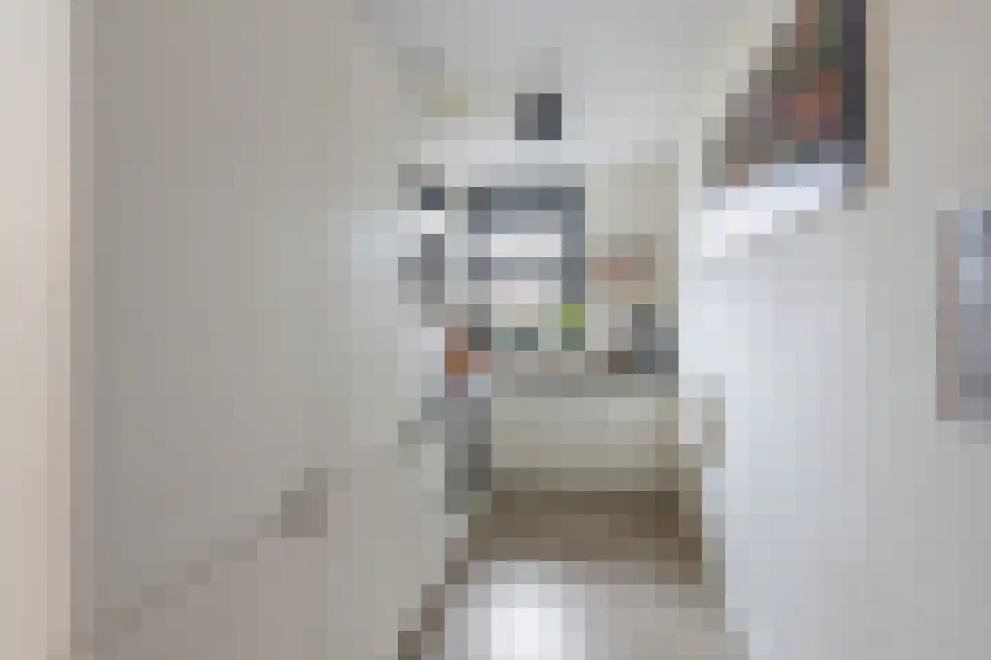 Dr. Jan Schoutenlaan 320 Maassluis thumbnail 13