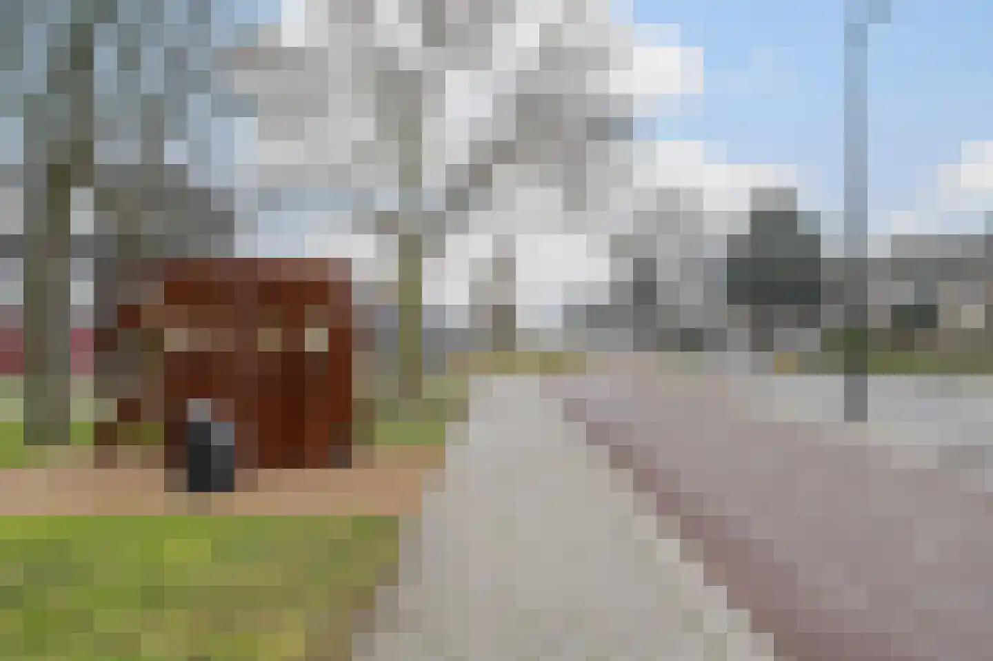 Dr. Jan Schoutenlaan 320 Maassluis thumbnail 41