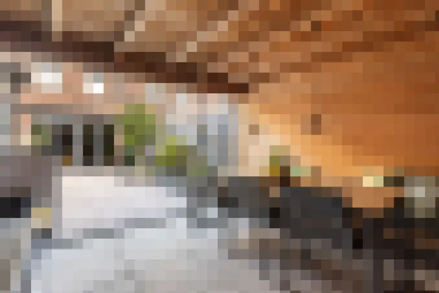 Dr. Jan Schoutenlaan 322 Maassluis thumbnail 5