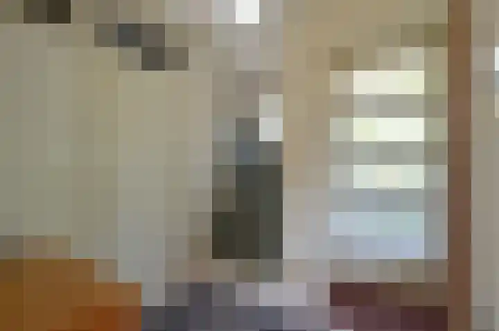 Dr. Jan Schoutenlaan 7 Huizen thumbnail 10