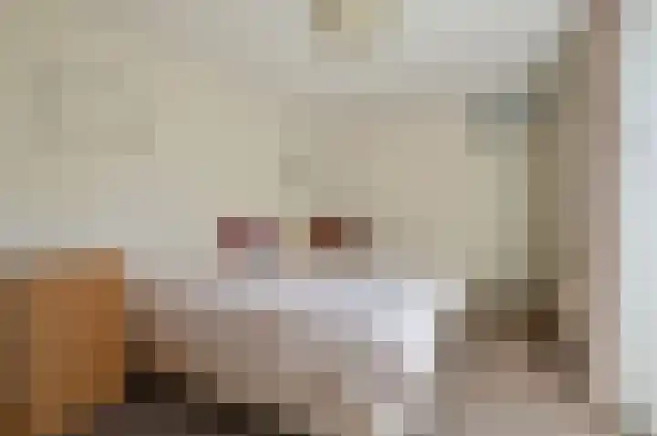 Dr. Jan Schoutenlaan 7 Huizen thumbnail 12