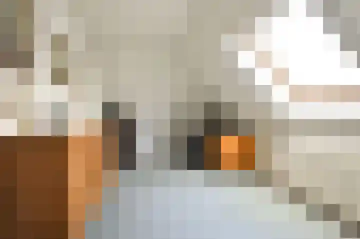 Dr. Jan Schoutenlaan 7 Huizen thumbnail 16