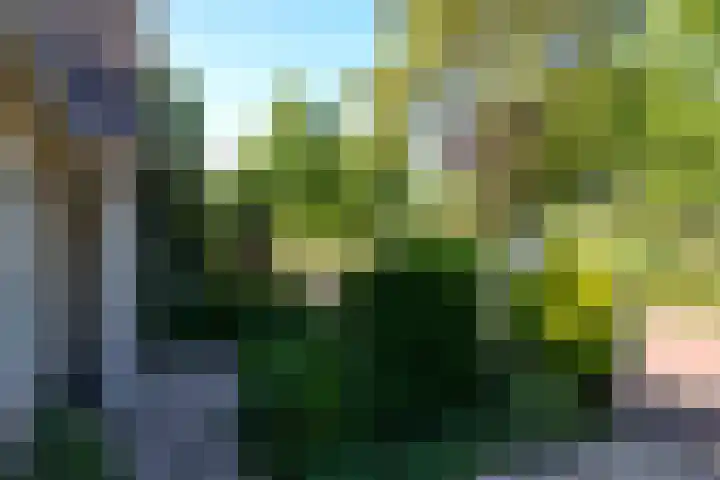 Dr. Jan Schoutenlaan 7 Huizen thumbnail 18