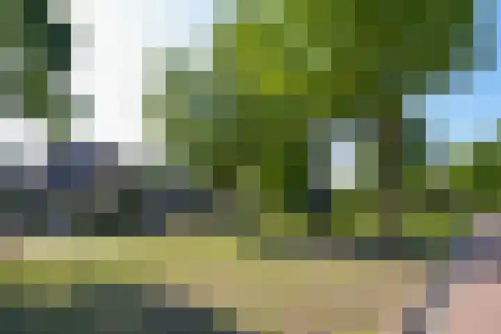 Dr. Jan Schoutenlaan 7 Huizen thumbnail 20