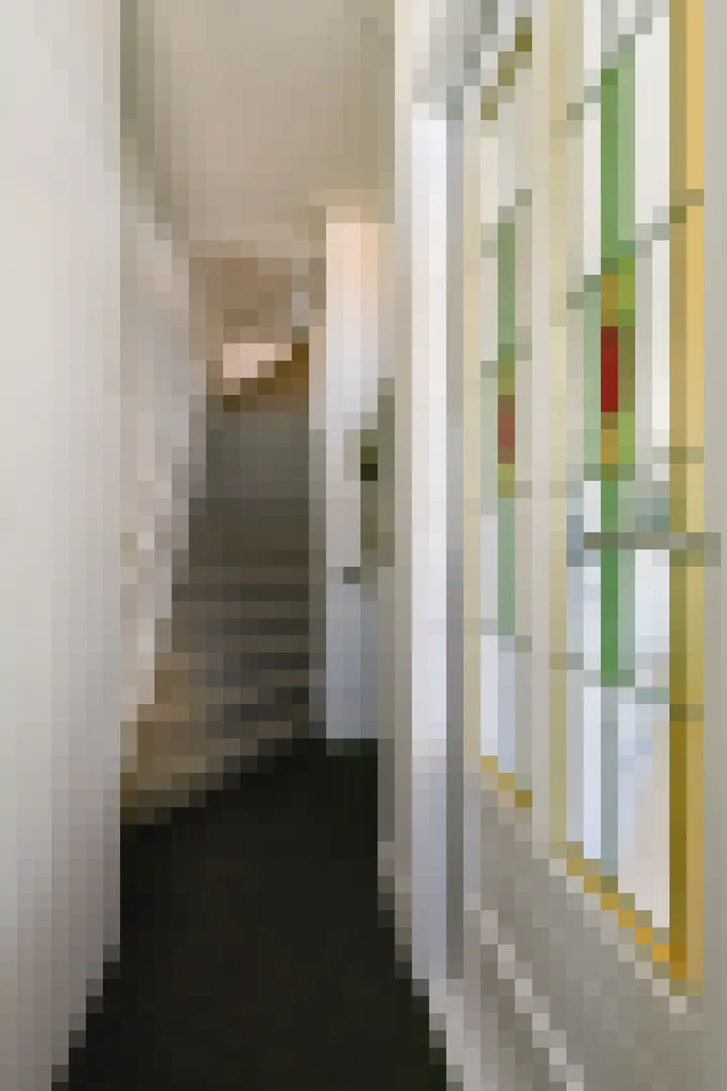Dr Joh G Mezgerstraat 28 Zandvoort thumbnail 5