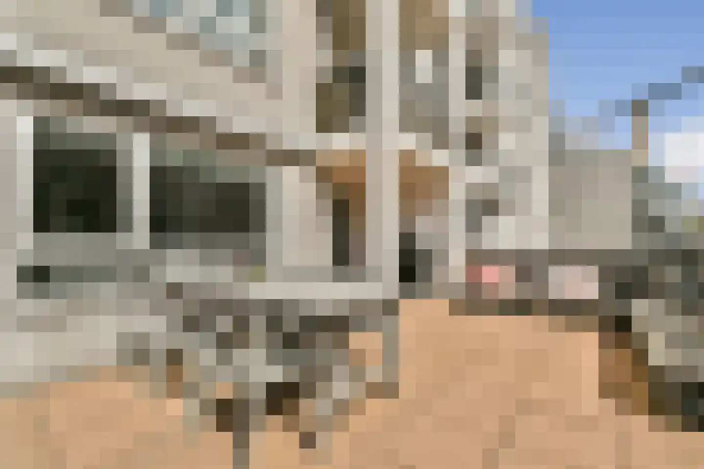 Dr Joh G Mezgerstraat 37 Zandvoort thumbnail 12