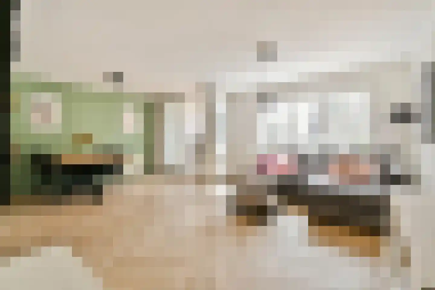 Dr Joh G Mezgerstraat 37 Zandvoort thumbnail 7