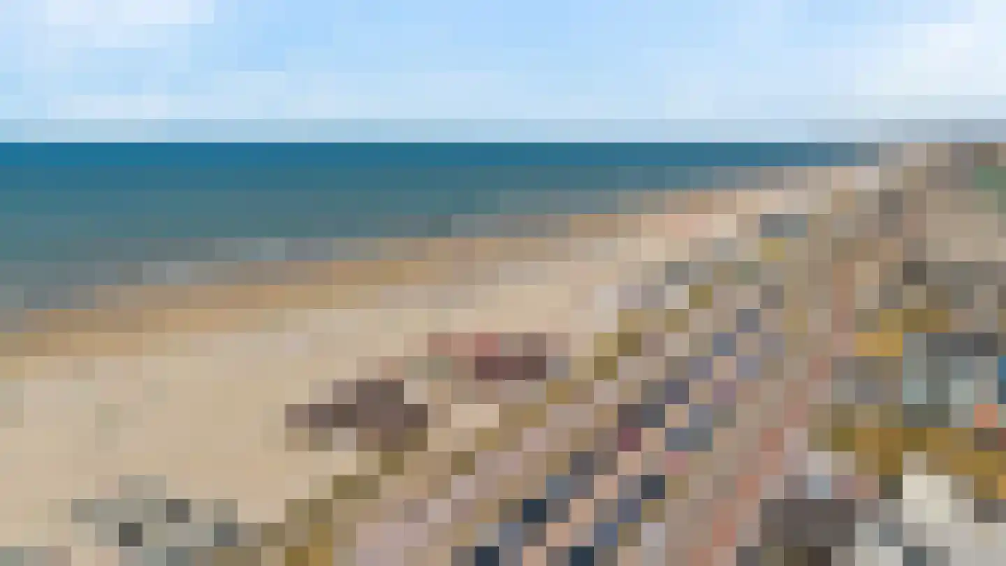 Dr Joh G Mezgerstraat 48 a Zandvoort thumbnail 38