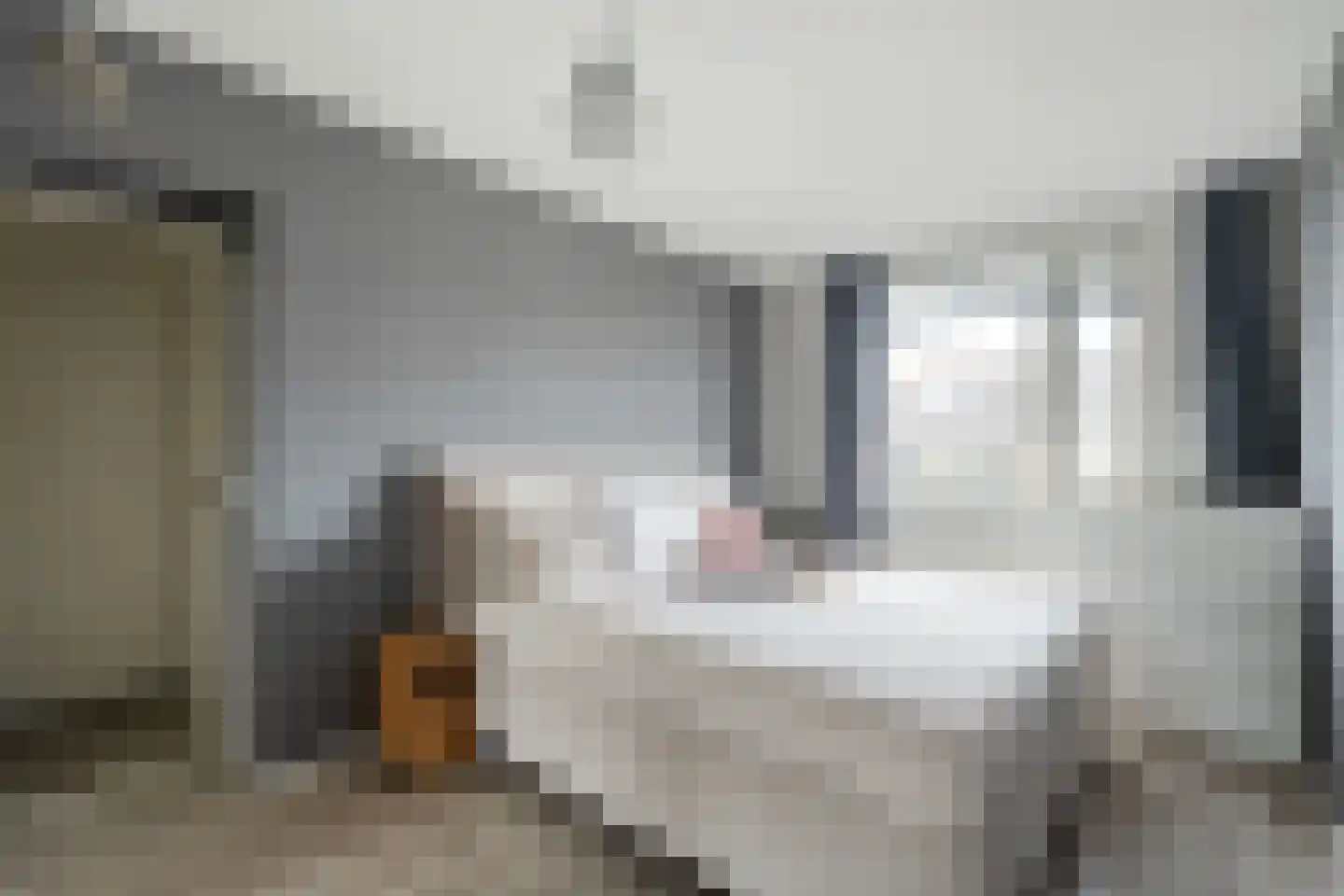 Dr Joh G Mezgerstraat 64 Zandvoort thumbnail 18