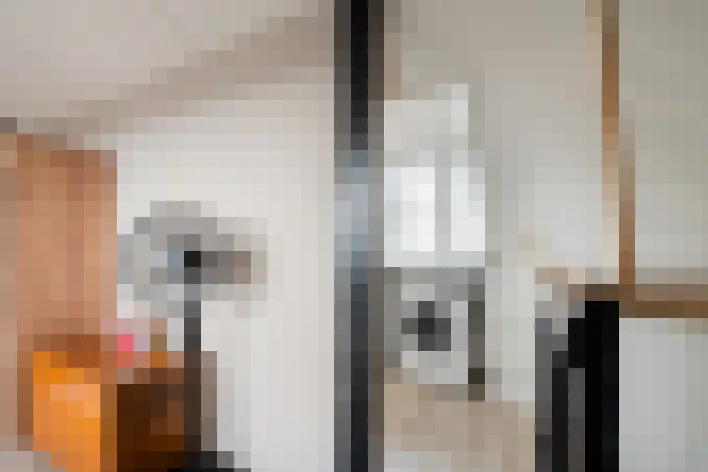 Dr Joh G Mezgerstraat 64 Zandvoort thumbnail 31