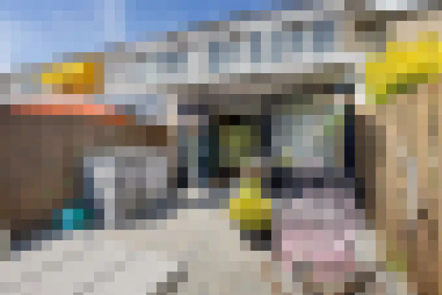 Dr Joh G Mezgerstraat 94 Zandvoort thumbnail 14