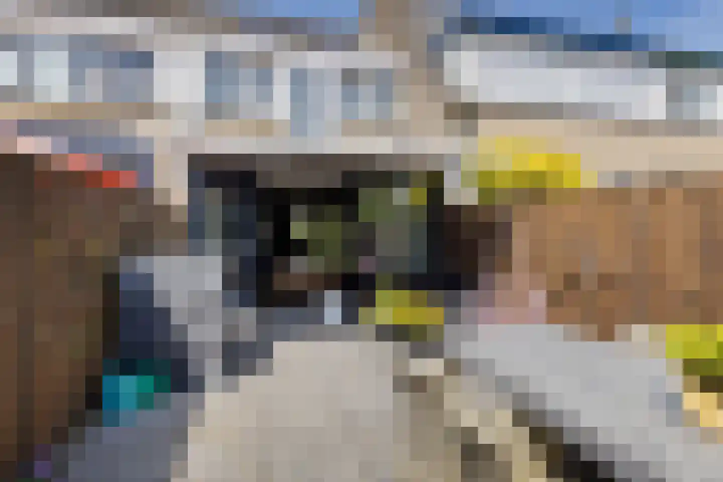 Dr Joh G Mezgerstraat 94 Zandvoort thumbnail 15