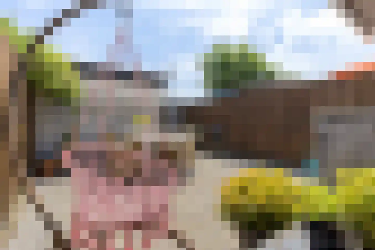 Dr Joh G Mezgerstraat 94 Zandvoort thumbnail 16