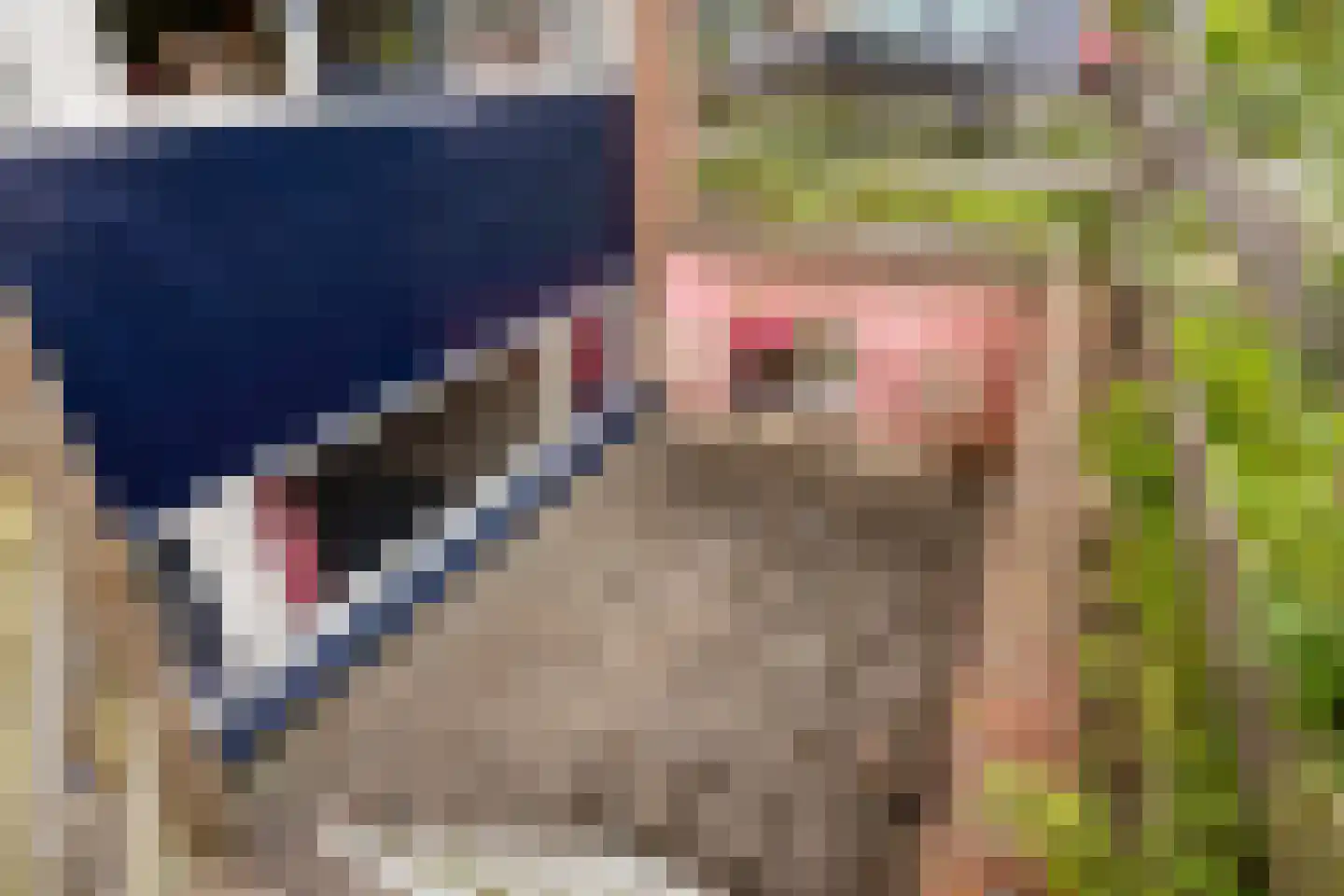 Dr Johan Picardtlaan 14 Rolde thumbnail 32