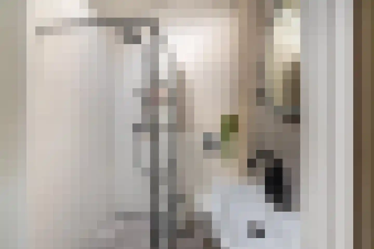 Dr Johan Picardtlaan 4 Rolde thumbnail 29