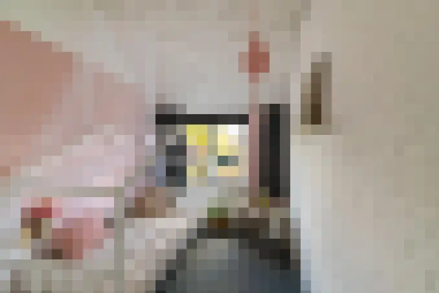 Dr Johan Picardtlaan 4 Rolde thumbnail 33