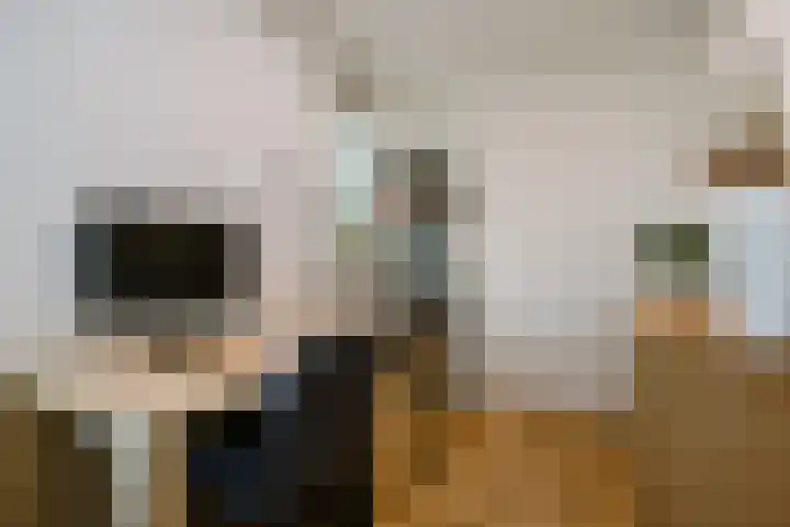 Dr. Joop den Uylsingel 11 Arnhem thumbnail 16