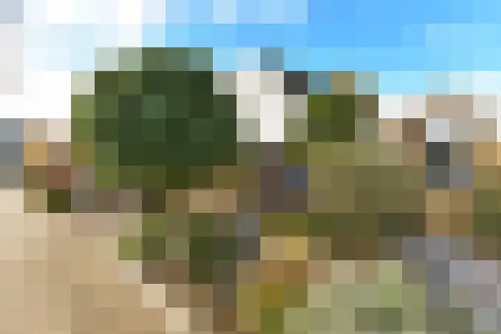 Dr. Joop den Uylsingel 11 Arnhem thumbnail 39