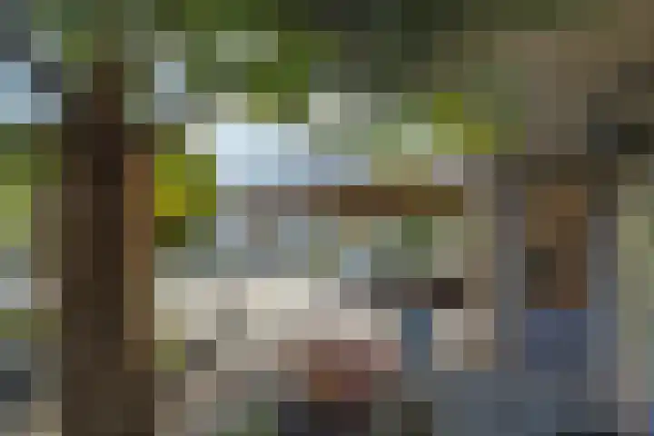 Dr. Joop den Uylsingel 11 Arnhem thumbnail 44