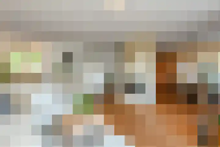 Dr. Joop den Uylsingel 11 Arnhem thumbnail 7