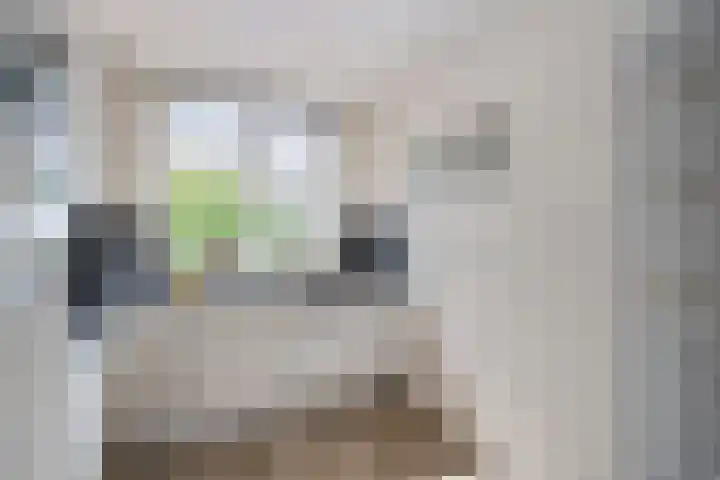 Dr. Joop den Uylsingel 17 Arnhem thumbnail 10