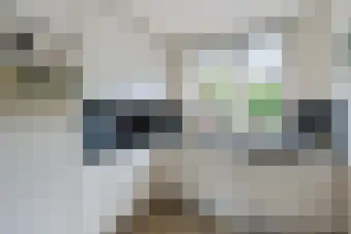 Dr. Joop den Uylsingel 17 Arnhem thumbnail 11