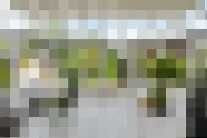 Dr. Joop den Uylsingel 17 Arnhem thumbnail 19
