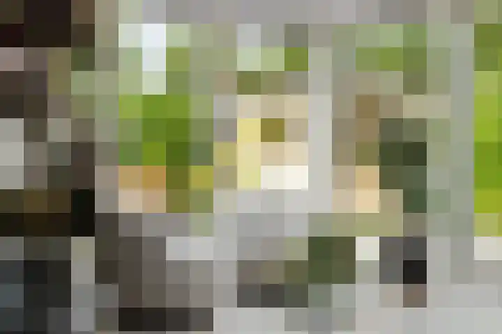 Dr. Joop den Uylsingel 17 Arnhem thumbnail 20