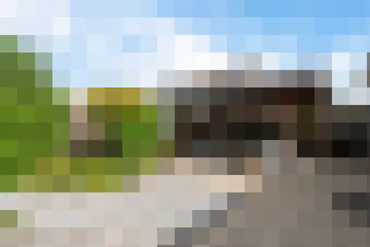 Dr. Joop den Uylsingel 17 Arnhem thumbnail 23