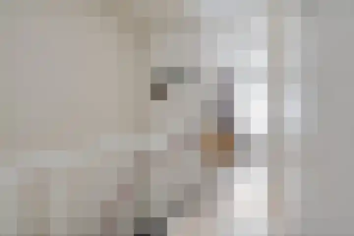 Dr. Joop den Uylsingel 17 Arnhem thumbnail 33