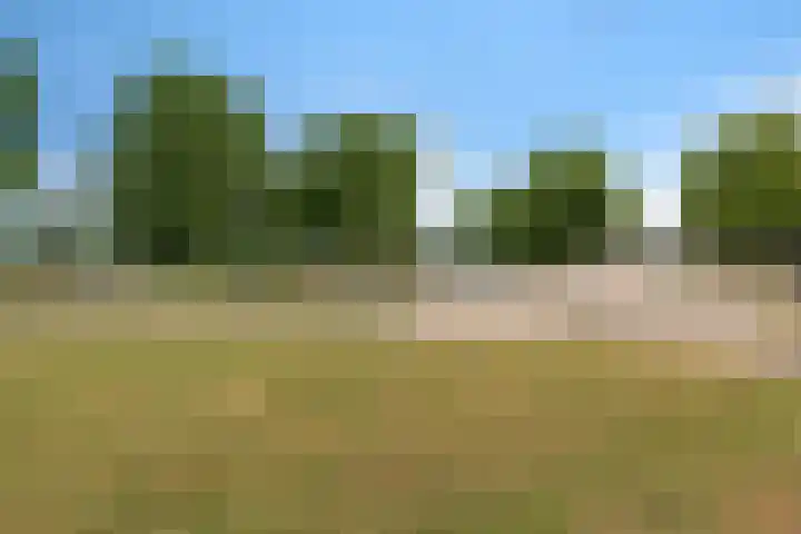 Dr. Joop den Uylsingel 17 Arnhem thumbnail 51