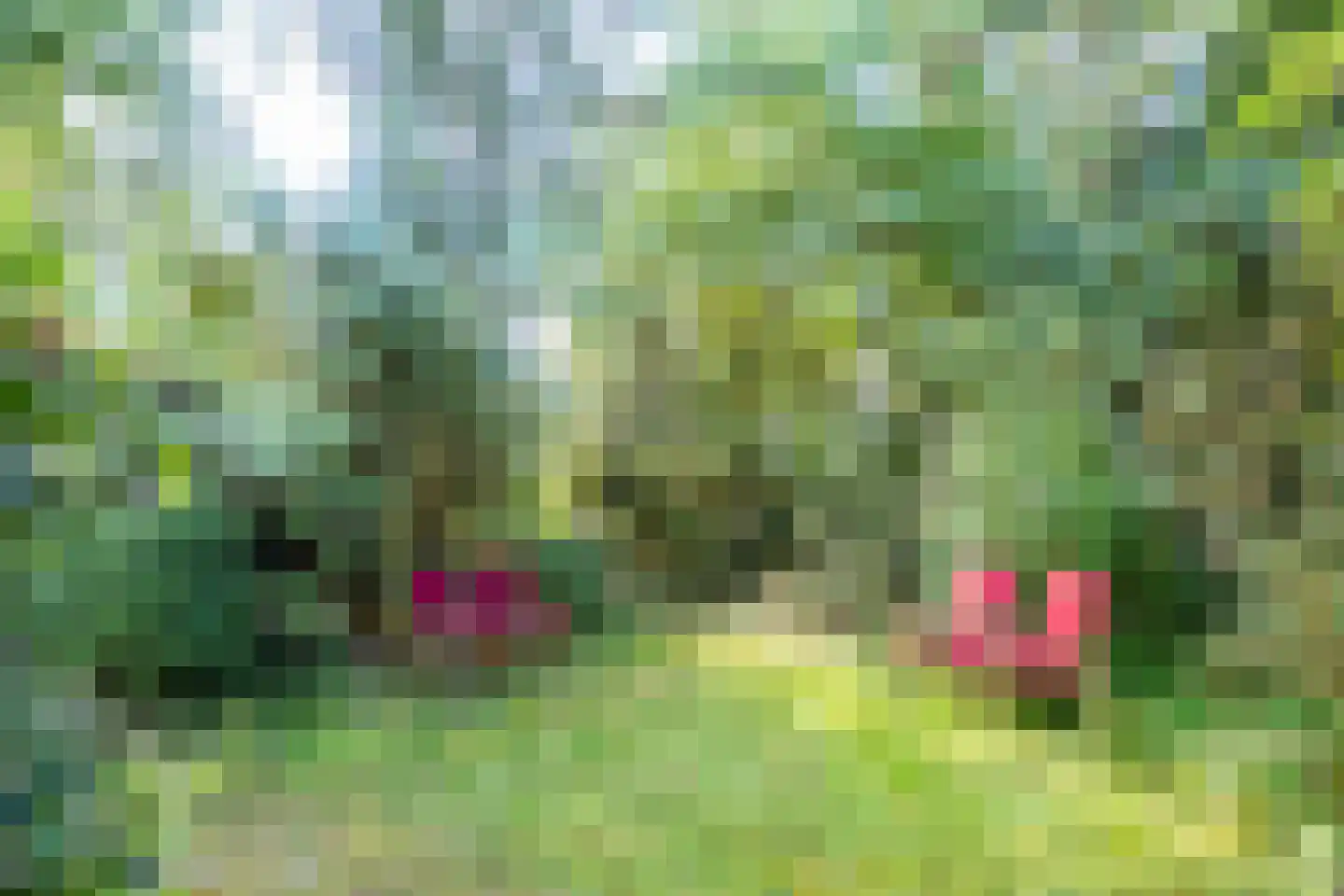 Dr. Julius Röntgenlaan 16 Bilthoven thumbnail 11