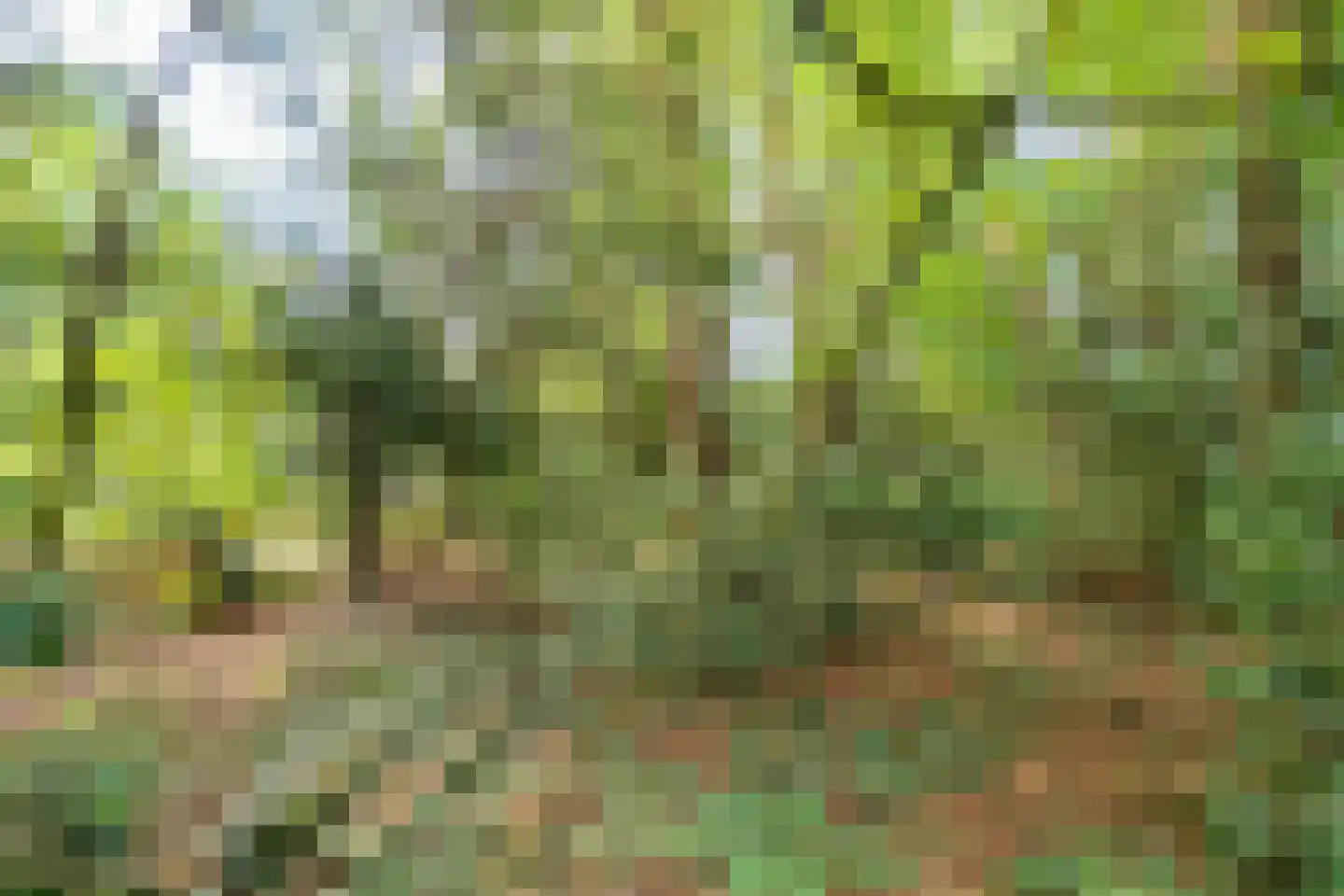 Dr. Julius Röntgenlaan 16 Bilthoven thumbnail 13