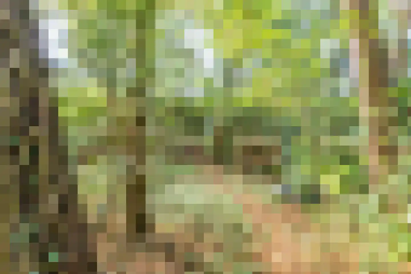 Dr. Julius Röntgenlaan 16 Bilthoven thumbnail 14