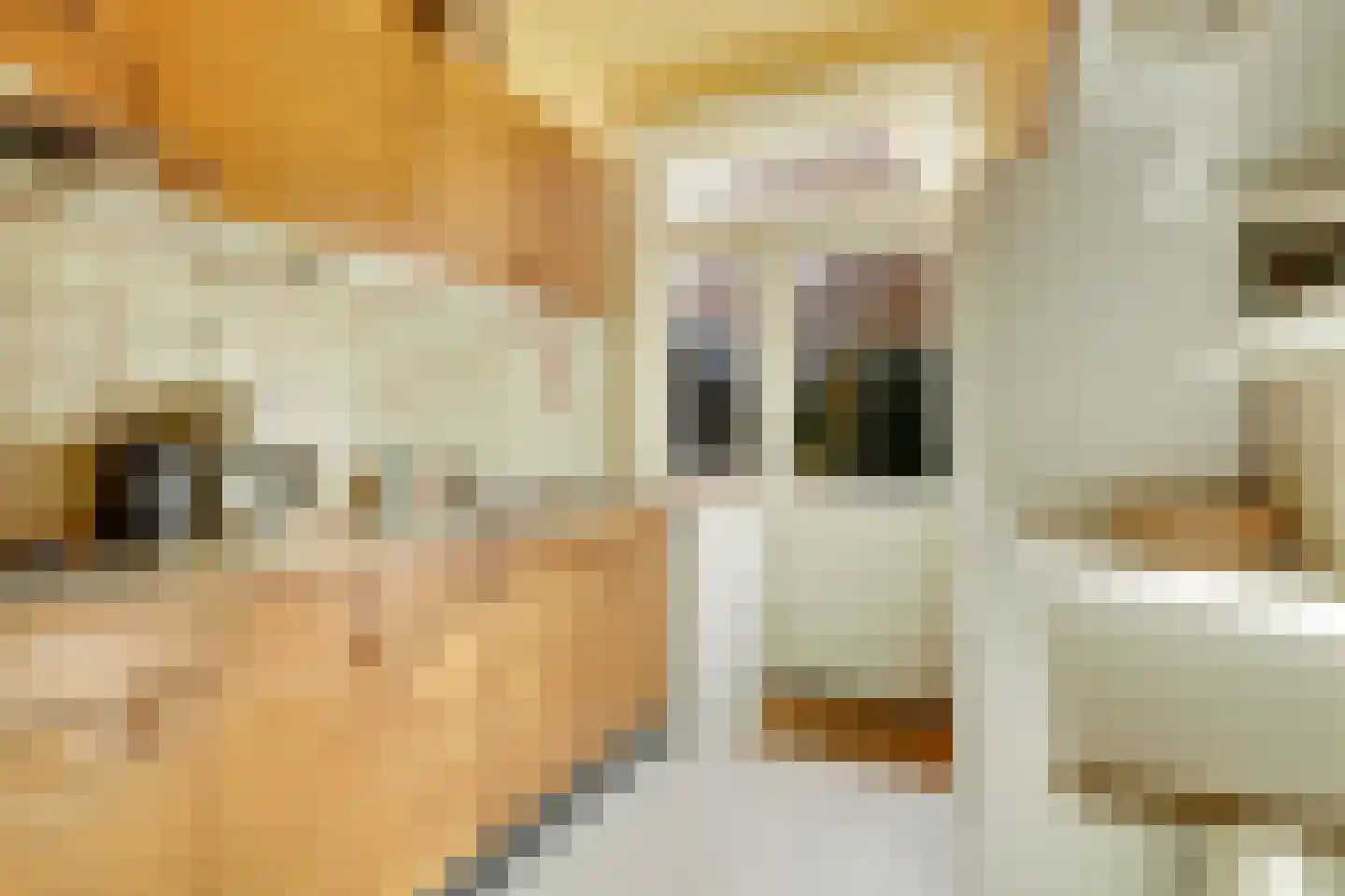 Dr. Julius Röntgenlaan 16 Bilthoven thumbnail 21