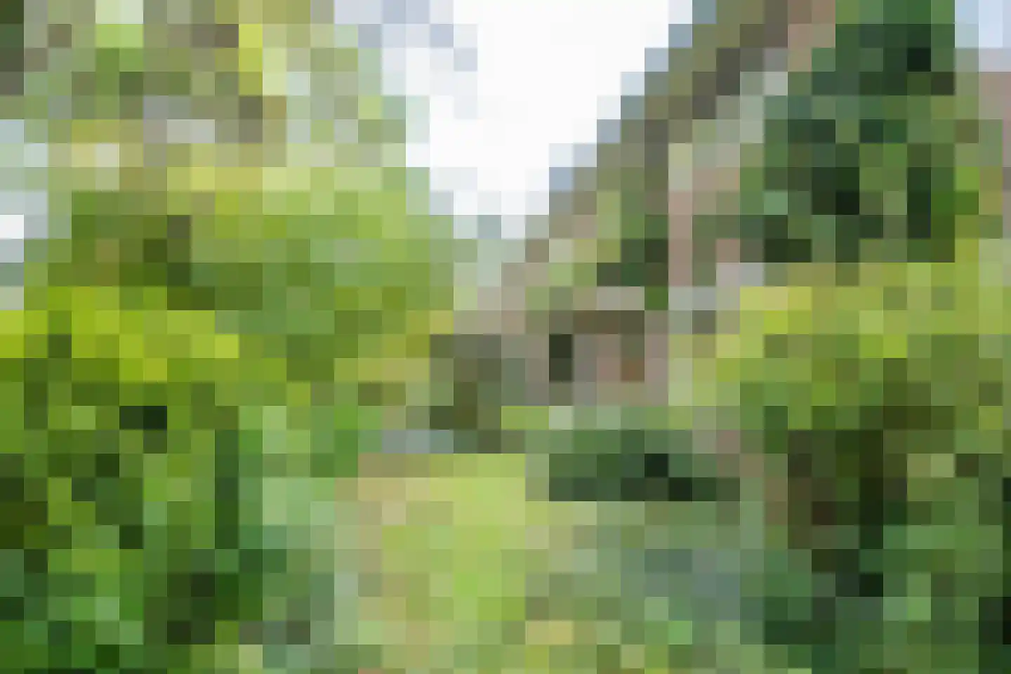 Dr. Julius Röntgenlaan 16 Bilthoven thumbnail 39