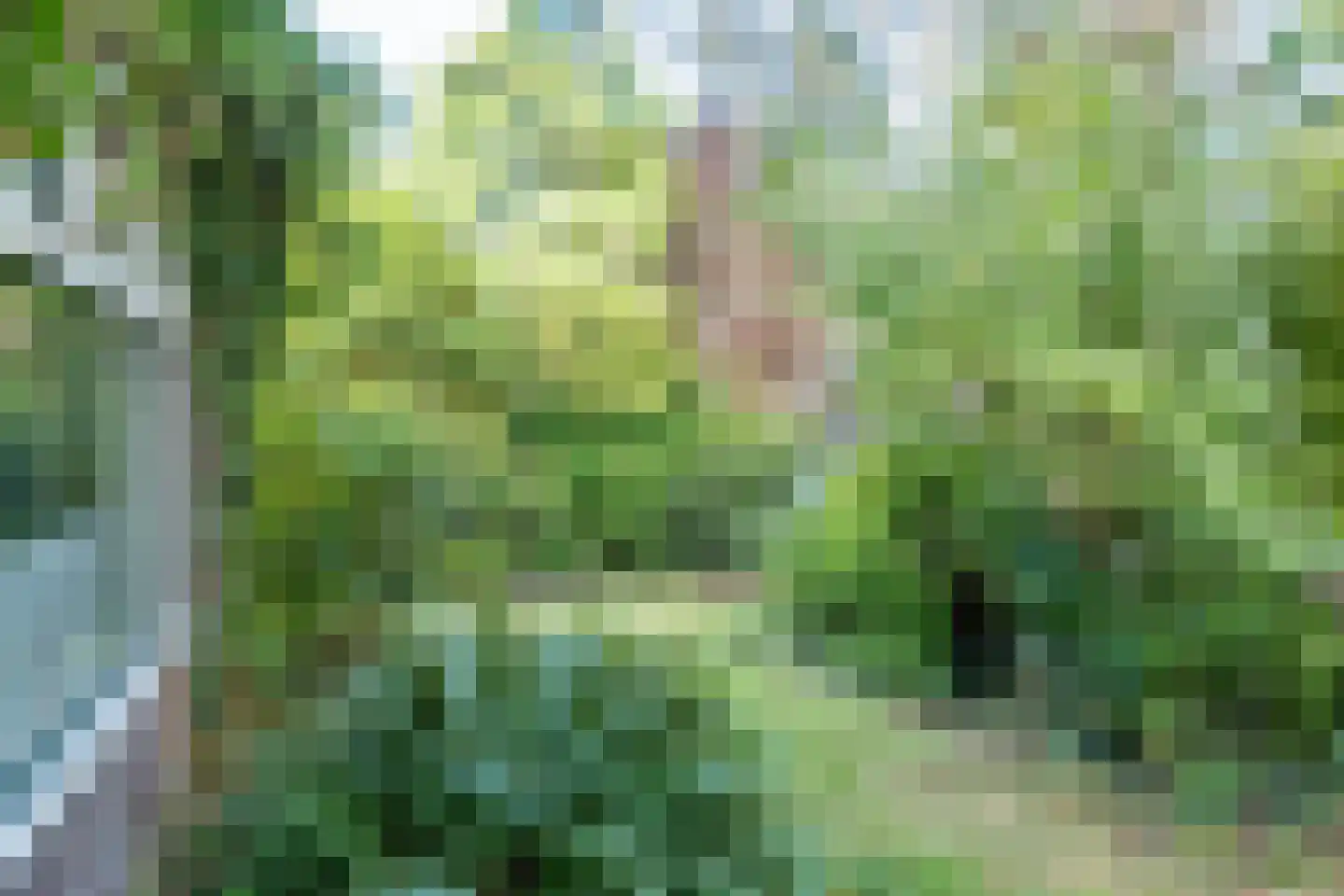 Dr. Julius Röntgenlaan 16 Bilthoven thumbnail 40