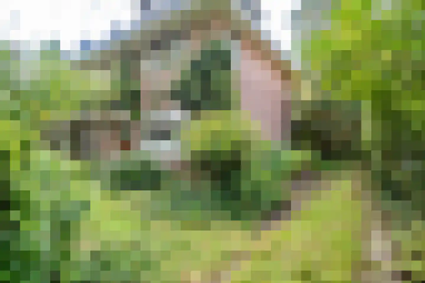 Dr. Julius Röntgenlaan 16 Bilthoven thumbnail 41