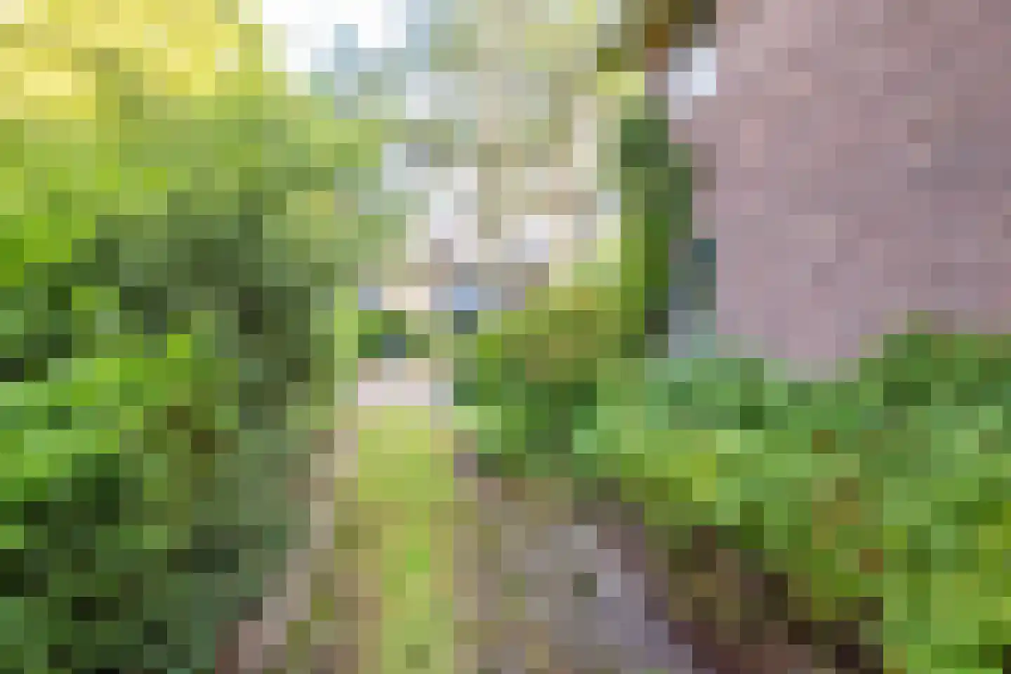 Dr. Julius Röntgenlaan 16 Bilthoven thumbnail 42