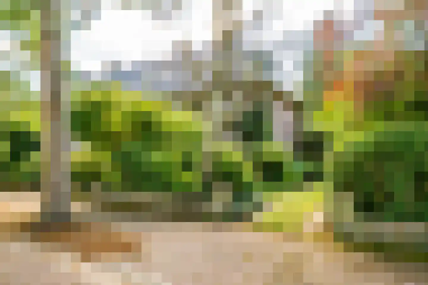 Dr. Julius Röntgenlaan 16 Bilthoven thumbnail 43