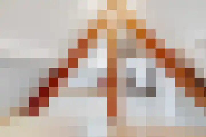 Dr. Julius Röntgenlaan 17 Bilthoven thumbnail 28