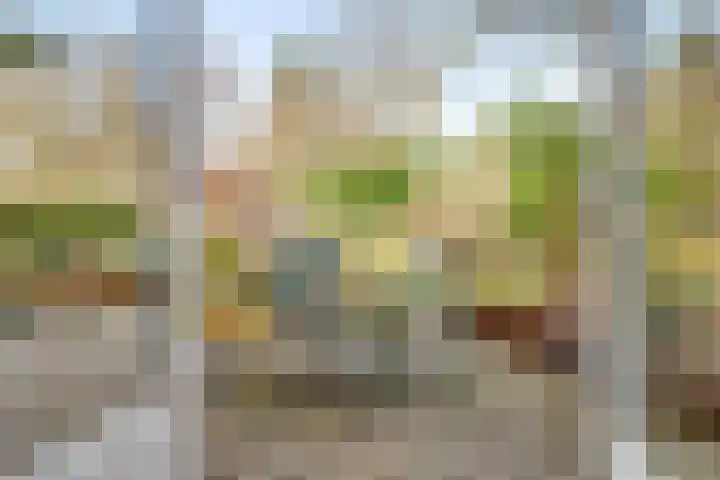 Dr. Julius Röntgenlaan 17 Bilthoven thumbnail 29
