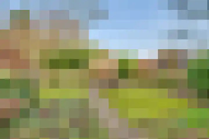Dr. Julius Röntgenlaan 17 Bilthoven thumbnail 30