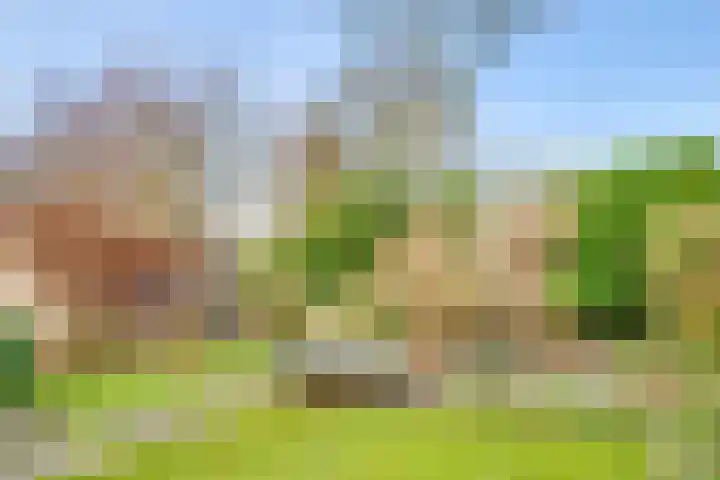 Dr. Julius Röntgenlaan 17 Bilthoven thumbnail 31