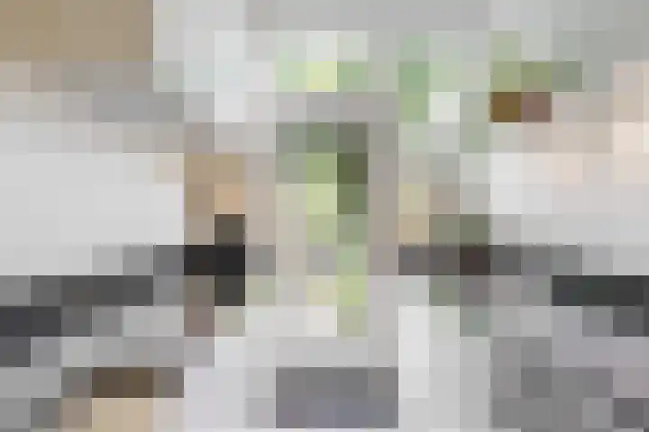 Dr. Julius Röntgenlaan 21 Bilthoven thumbnail 13