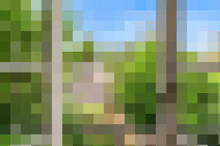 Dr. Julius Röntgenlaan 21 Bilthoven thumbnail 21