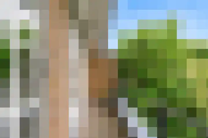 Dr. Julius Röntgenlaan 21 Bilthoven thumbnail 22