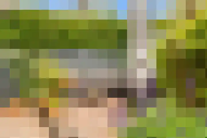 Dr. Julius Röntgenlaan 21 Bilthoven thumbnail 40