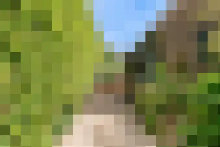 Dr. Julius Röntgenlaan 21 Bilthoven thumbnail 41